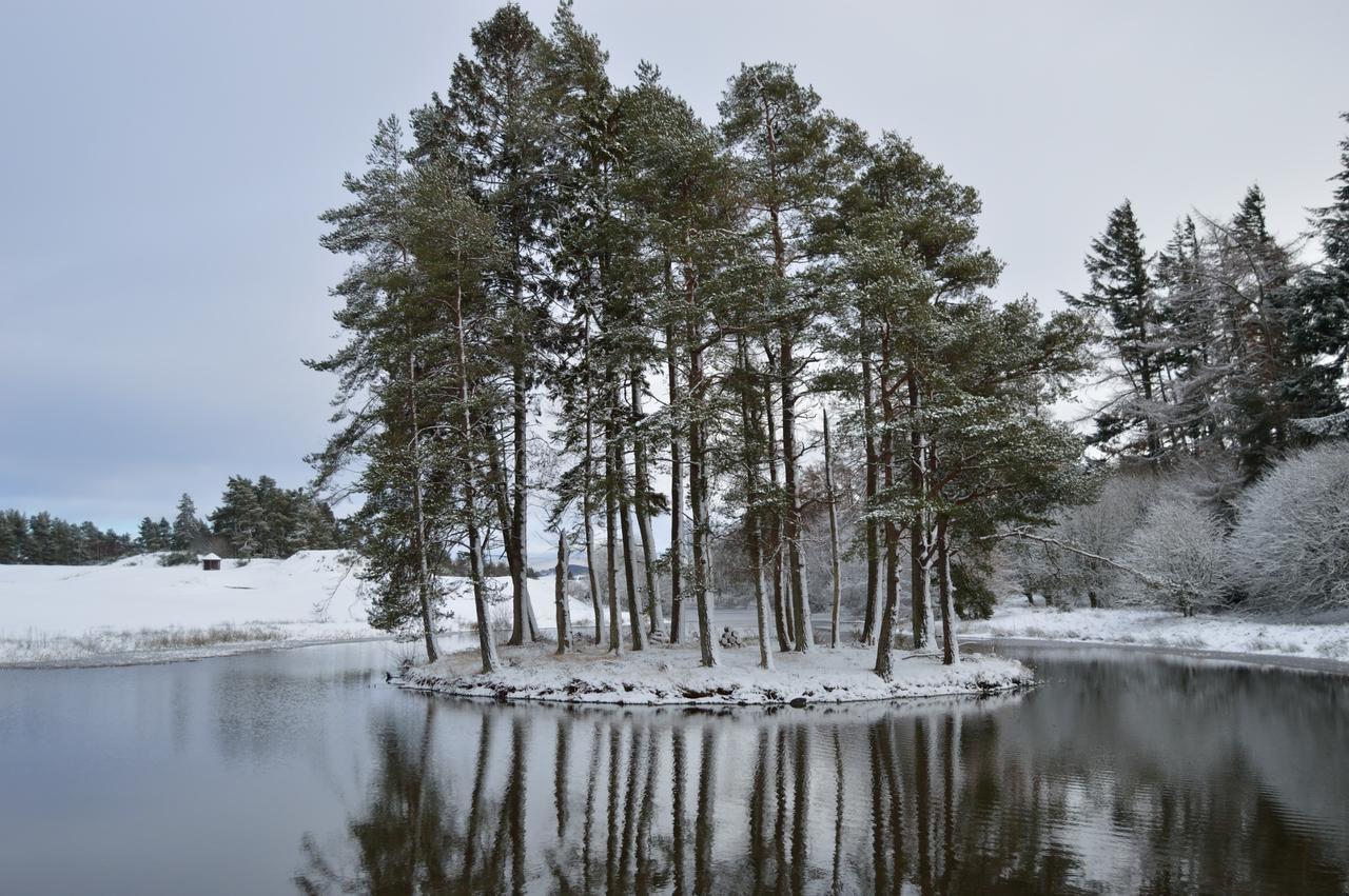 The Pines - Luxury 3-Bed Apartment Near Golf & Spa, Gleneagles, Auchterarder Bagian luar foto